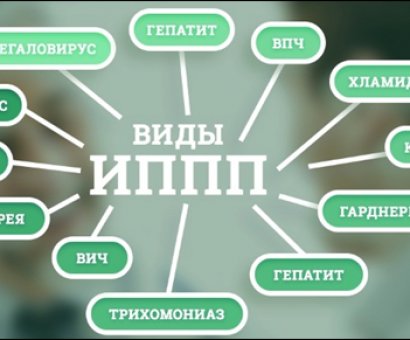 Информационный вестник выпуск 3 (2021г)