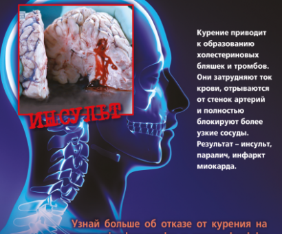 Информационный вестник выпуск 28 (2023г)